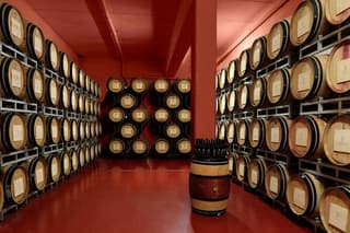 Wine Tasting Experience at Tenute San Fabiano in Arezzo