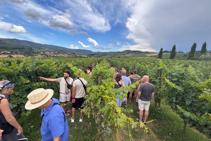Small-Group Wine Tasting Experience in the Tuscan Countryside — photo 1 of 38