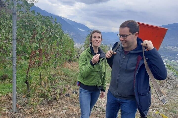 Private Wine Tour: Terraced Vineyards with Alpine view from Milan — photo 1 of 9