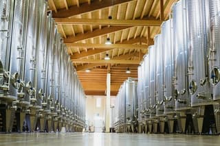 Authentic Experience Visit and Tasting between Soave and Valpolicella