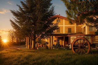 Golden Hour Wine Tour and Tasting