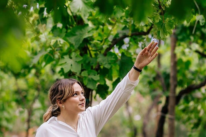 Pompeii Tour and Vesuvius Wine Tasting Day Trip from Naples — photo 1 of 13