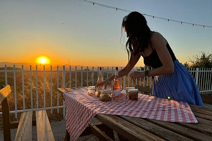 Enjoy Hearty Picnic on Vineyard near Matera with Private Car Tour — photo 1 of 8