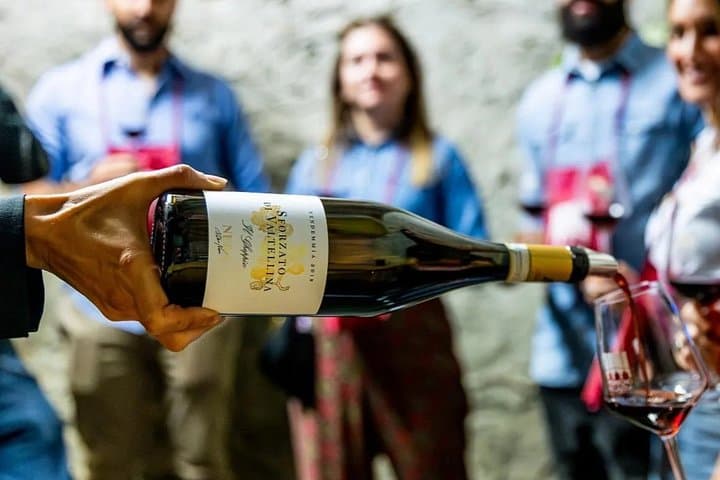Wine tasting with visit to the winery in Valtellina in Chiuro — photo 1 of 10