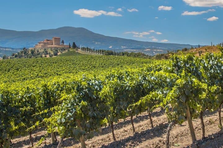 8 Stops in Chianti Fiorentino by Vespa — photo 1 of 6