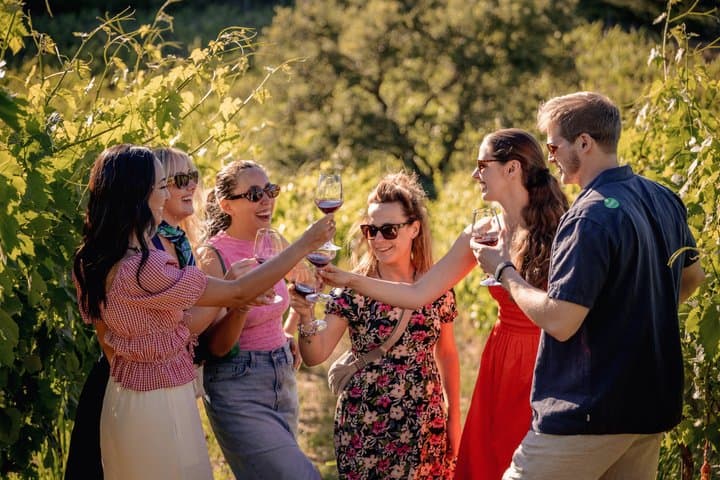 Half-Day Chianti Wine Tasting from Florence with Two Wineries — photo 1 of 20