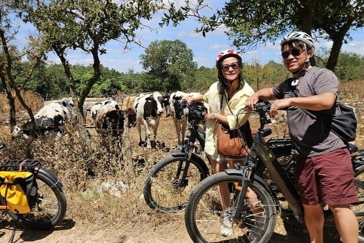 Gioia del Colle E-Bike Tour and Mozzarella Tasting — photo 1 of 7