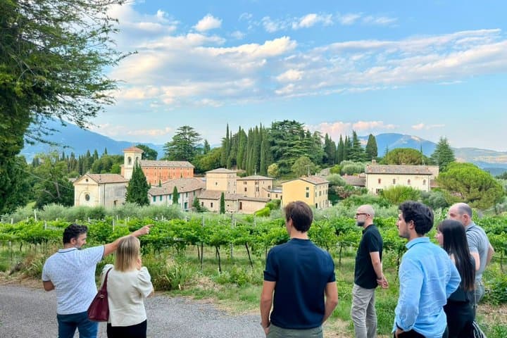 Vineyard Tour and 5 Wine Tasting in the Bardolino Hills — photo 1 of 8