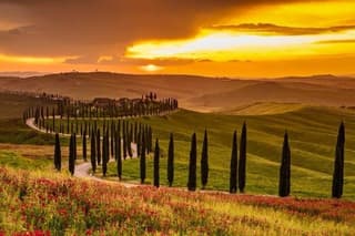 Chianti Sunset Tour Wine Tasting and Dinner in Tuscany