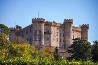 Ticket for Orsini Odescalchi Castle in Bracciano