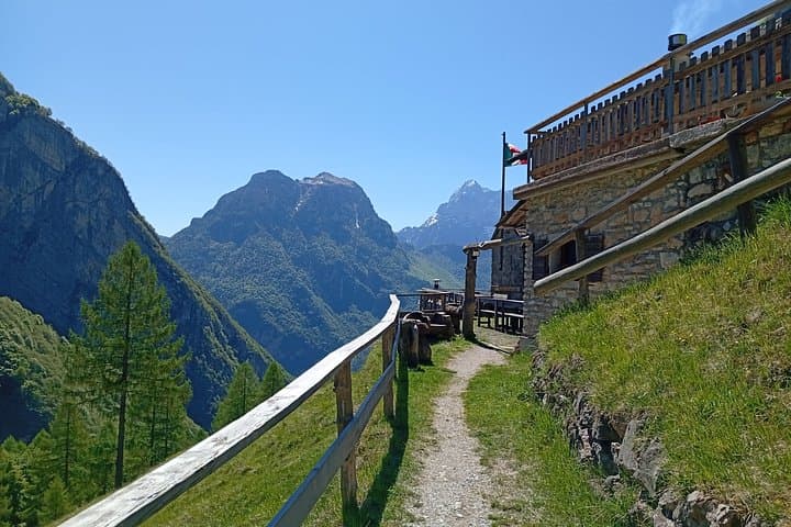 Guided tours with Environmental Hiking Guide — photo 1 of 7