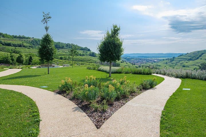 Experience in Nature in the Educational Farm in Soave — photo 1 of 19