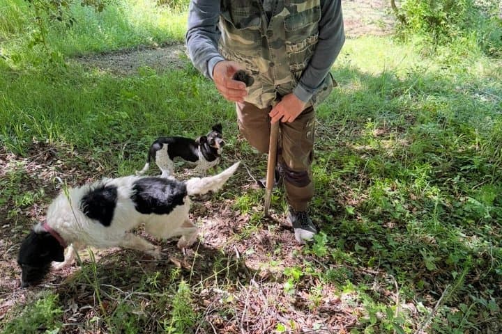 Truffle Hunting Adventure in Nature — photo 1 of 8