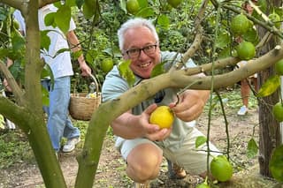 Ravello and Amalfi Coast Lemon Experience