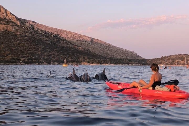 Golfo Aranci Kayak tour with aperitif and dolphin watching — photo 1 of 8