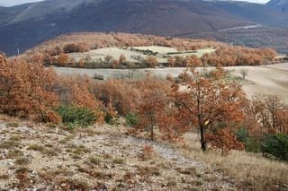 Truffle hunting in the Valnerina