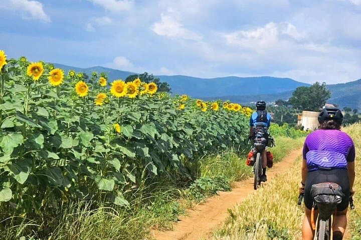 Gravel Rental in Pisa and Tuscany — photo 1 of 3