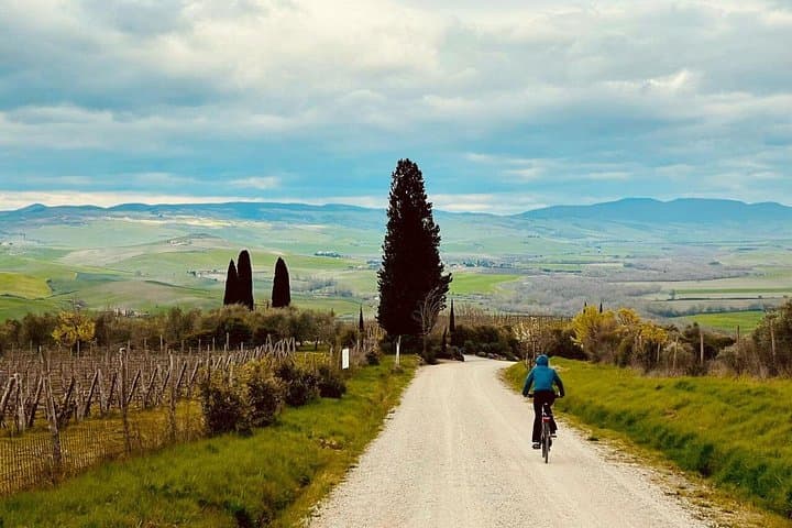 Road Bike Rental in Pisa and Tuscany — photo 1 of 3