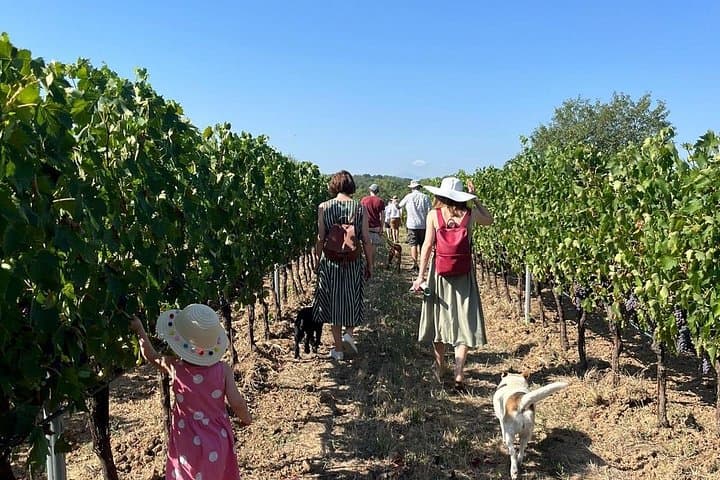 Tasting of local organic wines at a historic winery — photo 1 of 20
