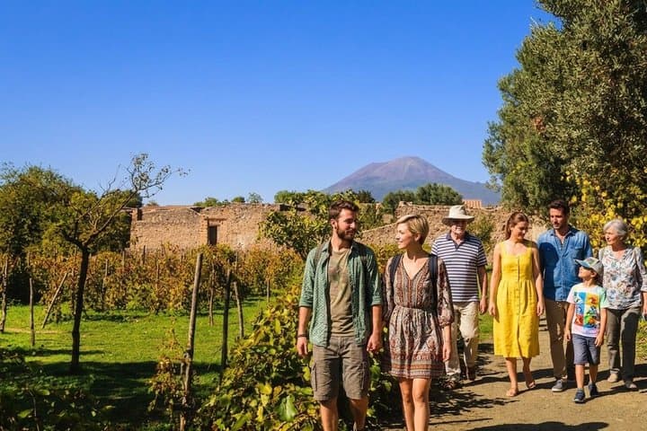 Vesuvius Wine Tasting & Lunch: Vineyard Tour from Naples — photo 1 of 6