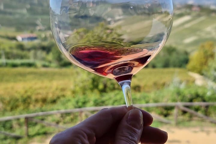Barolo Wine Tasting Experience from Turin — photo 1 of 7