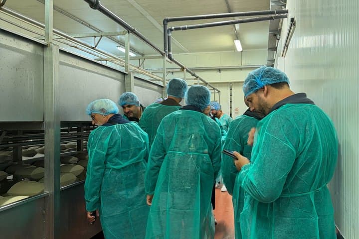 Ferrari, Parmesan and Balsamic Day Tour from Bologna — photo 1 of 7