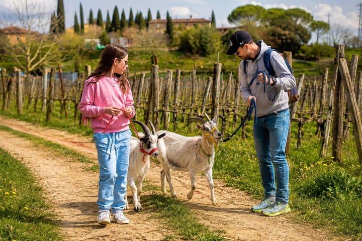 Walk with goats or donkeys in Tuscany — photo 1 of 8