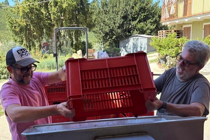 Langhe like a local — photo 1 of 21