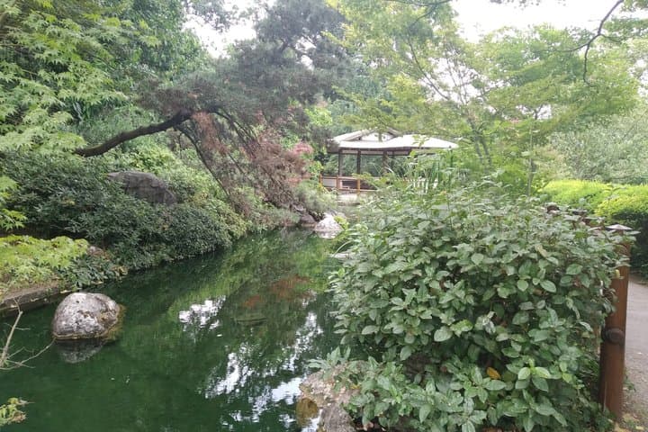 Guided Tour of the Botanical Garden Museum of Rome in Trastevere — photo 1 of 4