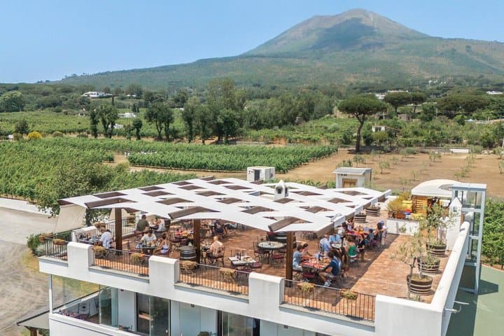 From Naples & Sorrento: Organic Vesuvius Wine Tour & Lunch — photo 1 of 8