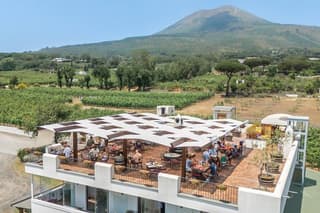 From Naples & Sorrento: Organic Vesuvius Wine Tour & Lunch