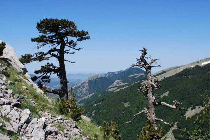 Pollino Hiking - hikes in the Pollino National Park [FD] — photo 1 of 3
