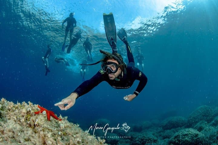 Sorrento Morning RIB Snorkel: 2 Spots with a Marine Biologist — photo 1 of 19