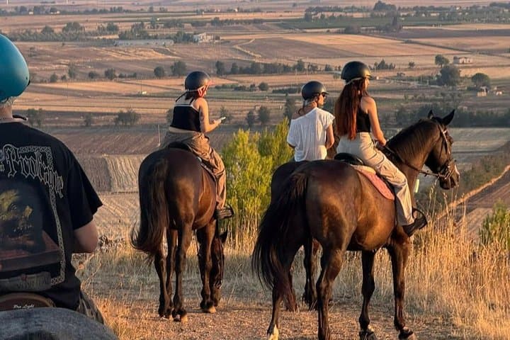 Horseback Riding Experience in Alta Murgia — photo 1 of 6