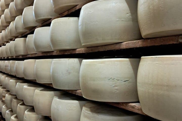 Private Modena Hills Tour Parmigiano DOP Vinegar DOP Lunch — photo 1 of 13