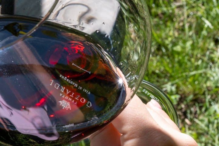 Panoramic tasting in the vineyard nature and glasses — photo 1 of 6