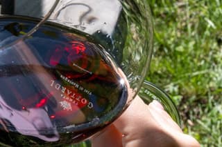 Panoramic tasting in the vineyard nature and glasses