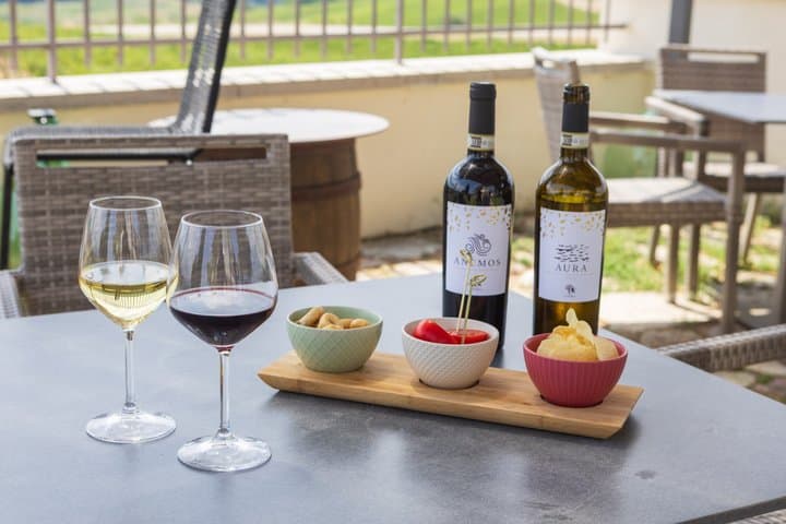 San Gimignano: Authentic Tuscan Cooking Class & Wine Tasting — photo 1 of 13