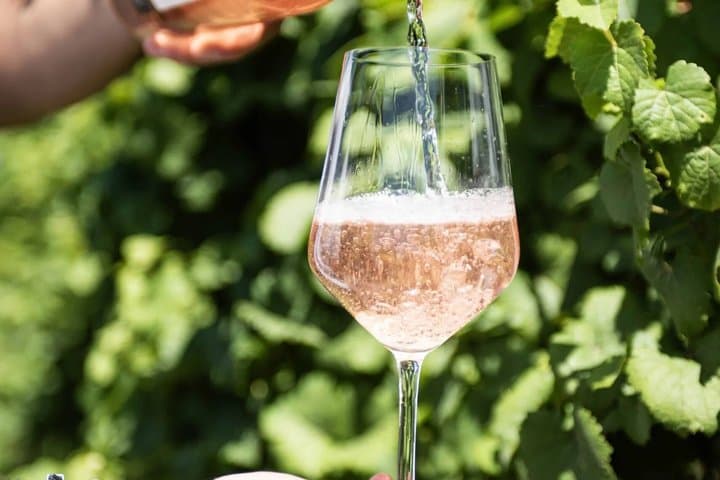 Cirò Marina: Wine Tour, Vineyard & Premium Organic Wine Tasting — photo 1 of 7