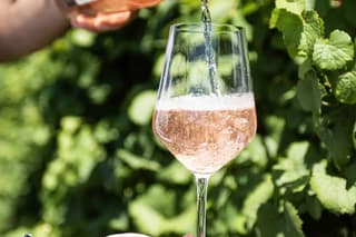 Cirò Marina: Wine Tour, Vineyard & Premium Organic Wine Tasting