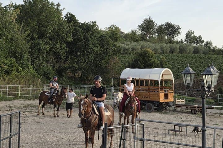 Horseback riding experience in the countryside of Sant'Agata de'Goti — photo 1 of 8