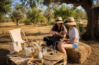 Brindisi Autumn Picnic in Olive Grove