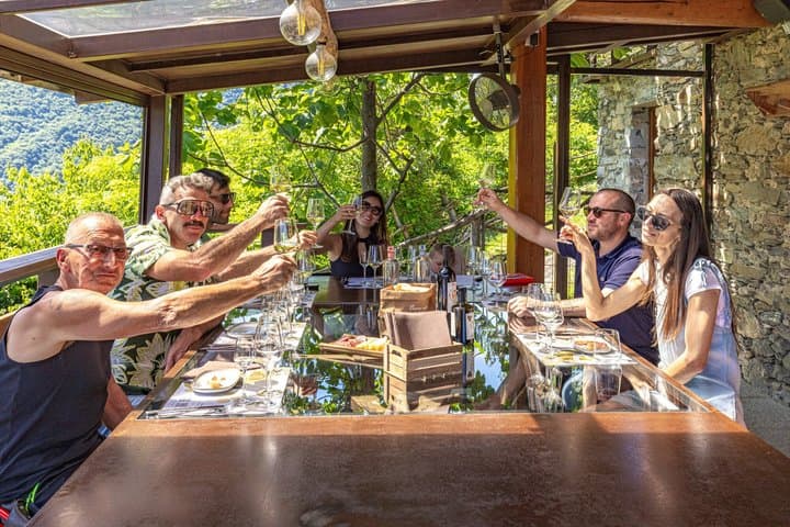 Lake Como Classic Wines and Local Delicacies in the Vineyards — photo 1 of 16