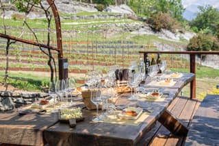 Wine Tasting at Family Vineyard on Lake Como