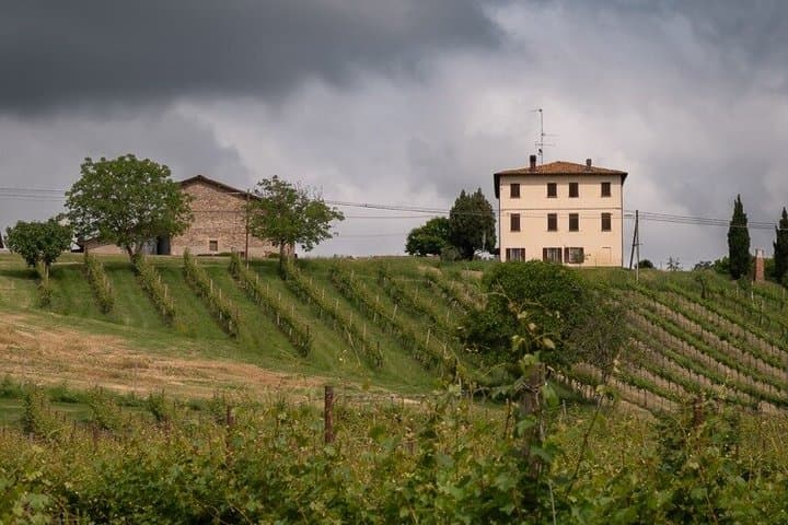 Two Wineries Tour with Lunch from Bologna By Italian Days — photo 1 of 6
