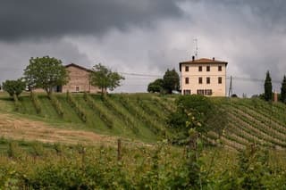 Two Wineries Tour with Lunch from Bologna By Italian Days