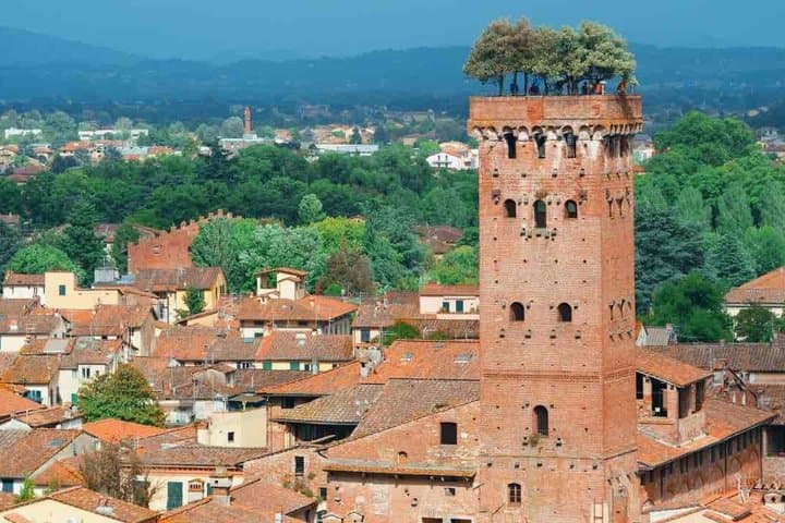 Entrance to the Guinigi Tower with panoramic view — photo 1 of 6