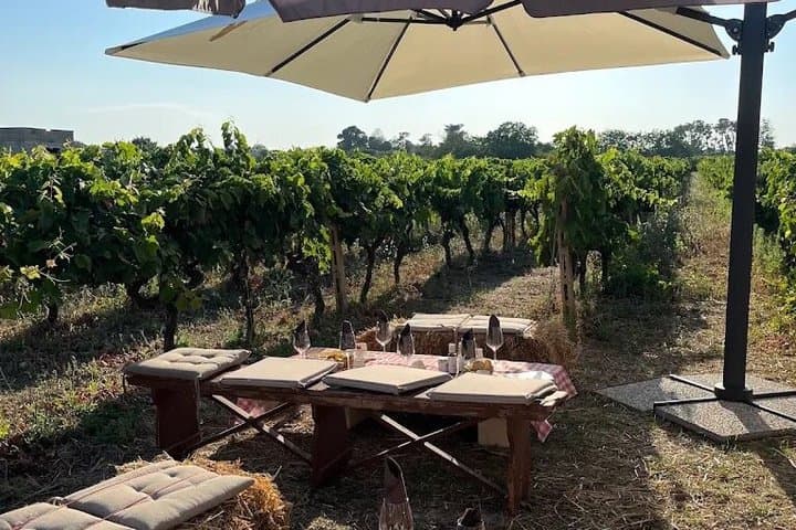 Private Tour of Alberobello and Locorotondo Wine Tasting — photo 1 of 5