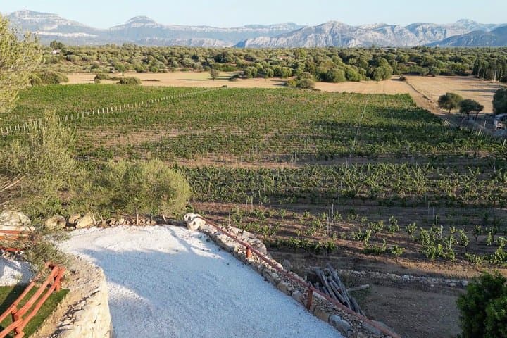 Cannonau Wine Tasting in the heart of Dorgali — photo 1 of 22