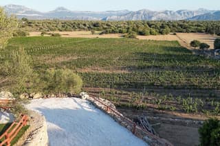 Cannonau Wine Tasting in the heart of Dorgali